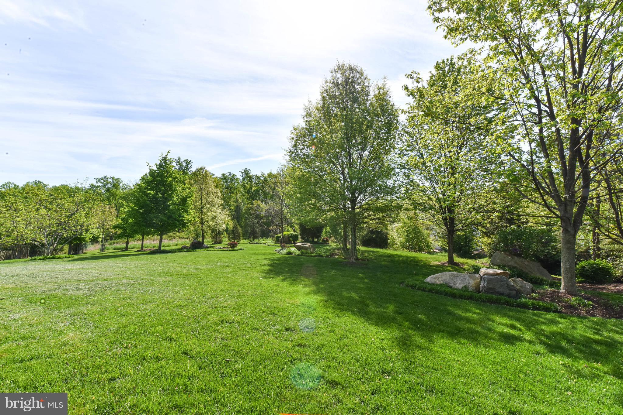 8244 Native Violet Drive Lorton, VA 22079 - Photo 67 of 68 a garden with trees in the background