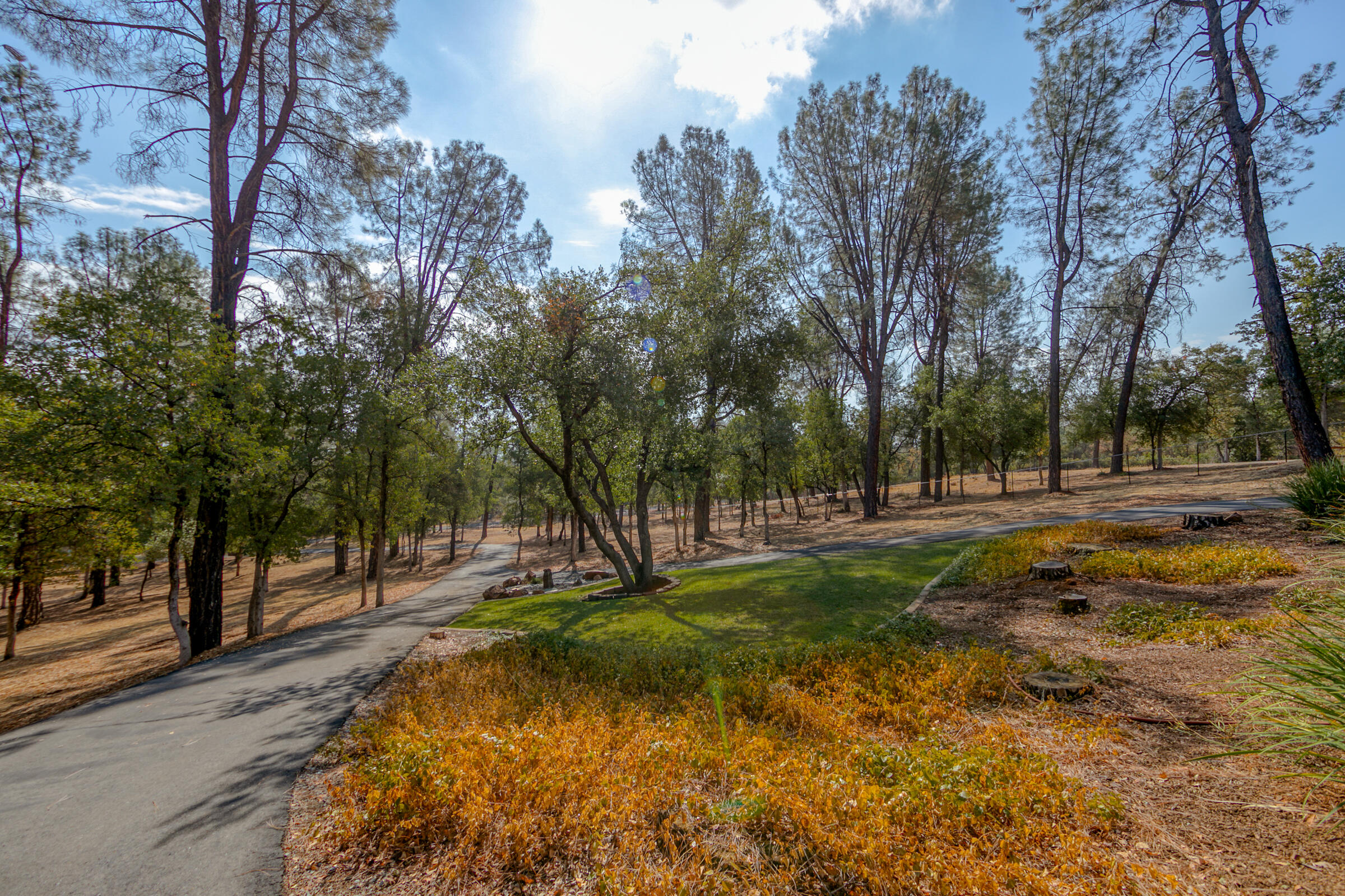 9184 Silver King Road Redding, CA 96001 - Photo 50 of 50 View from the Front Yard