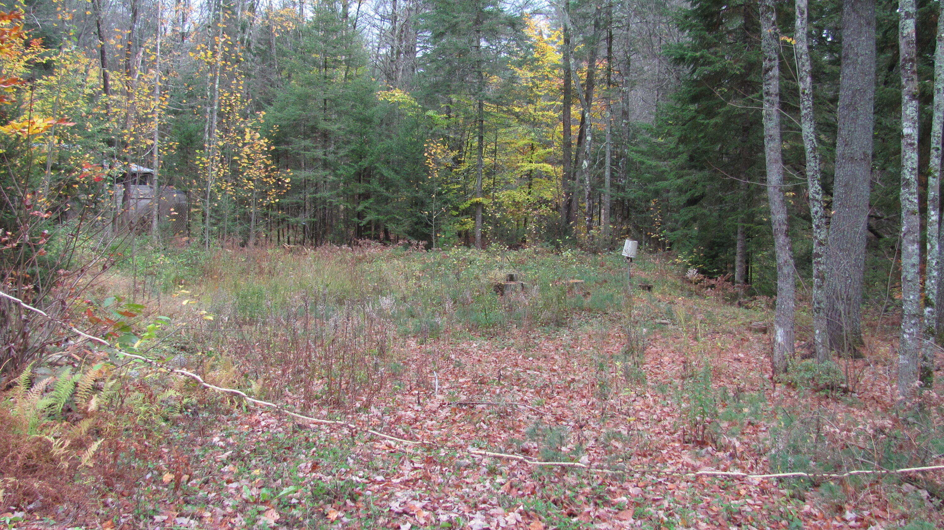 54 Crooked River Road Otisfield, ME 04270 - Photo 1 of 2 IMG_1918
