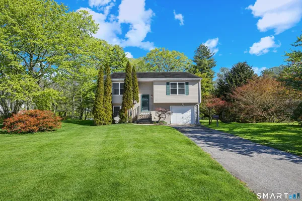 a view of a backyard with plants and large trees
