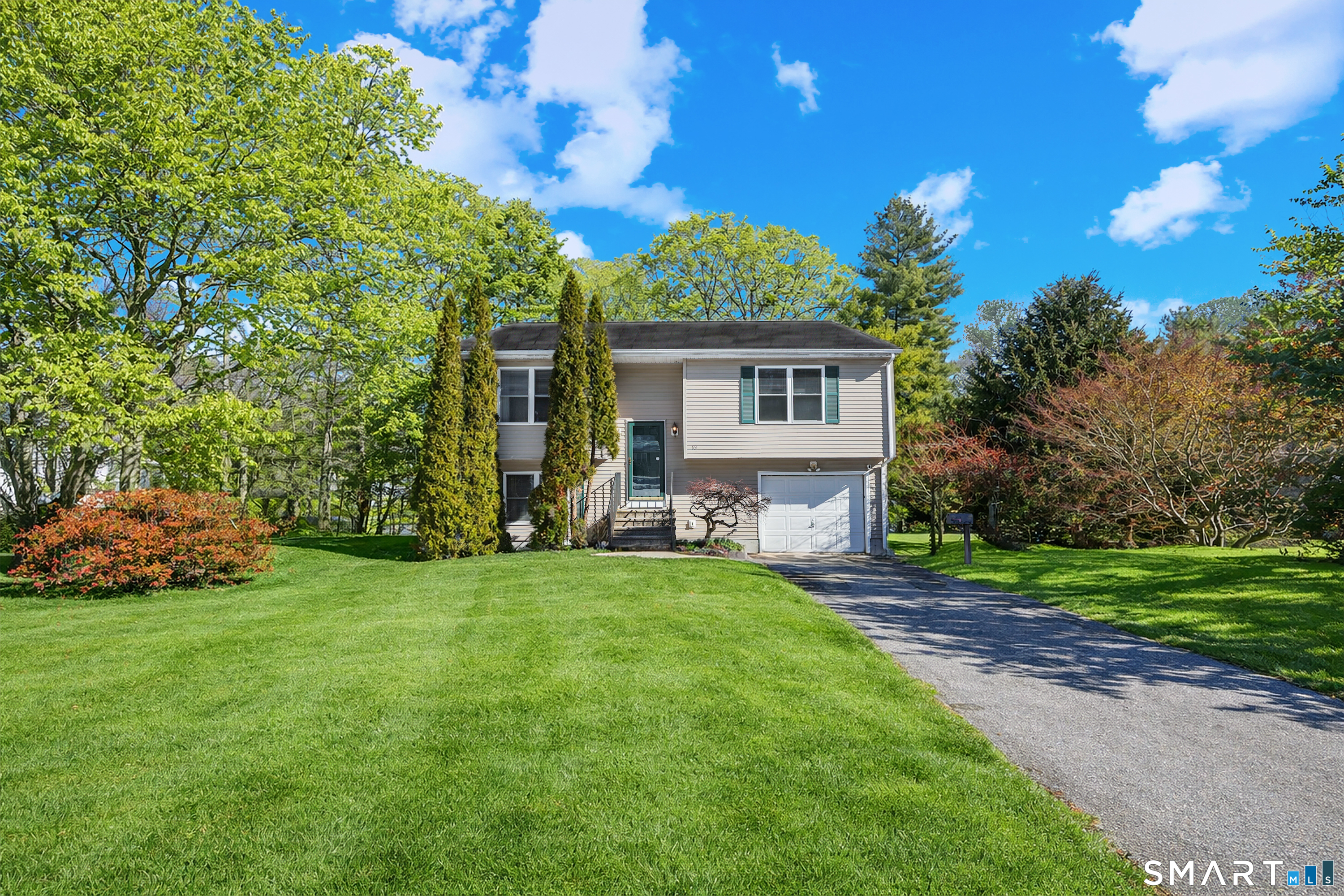 a view of a backyard with plants and large trees