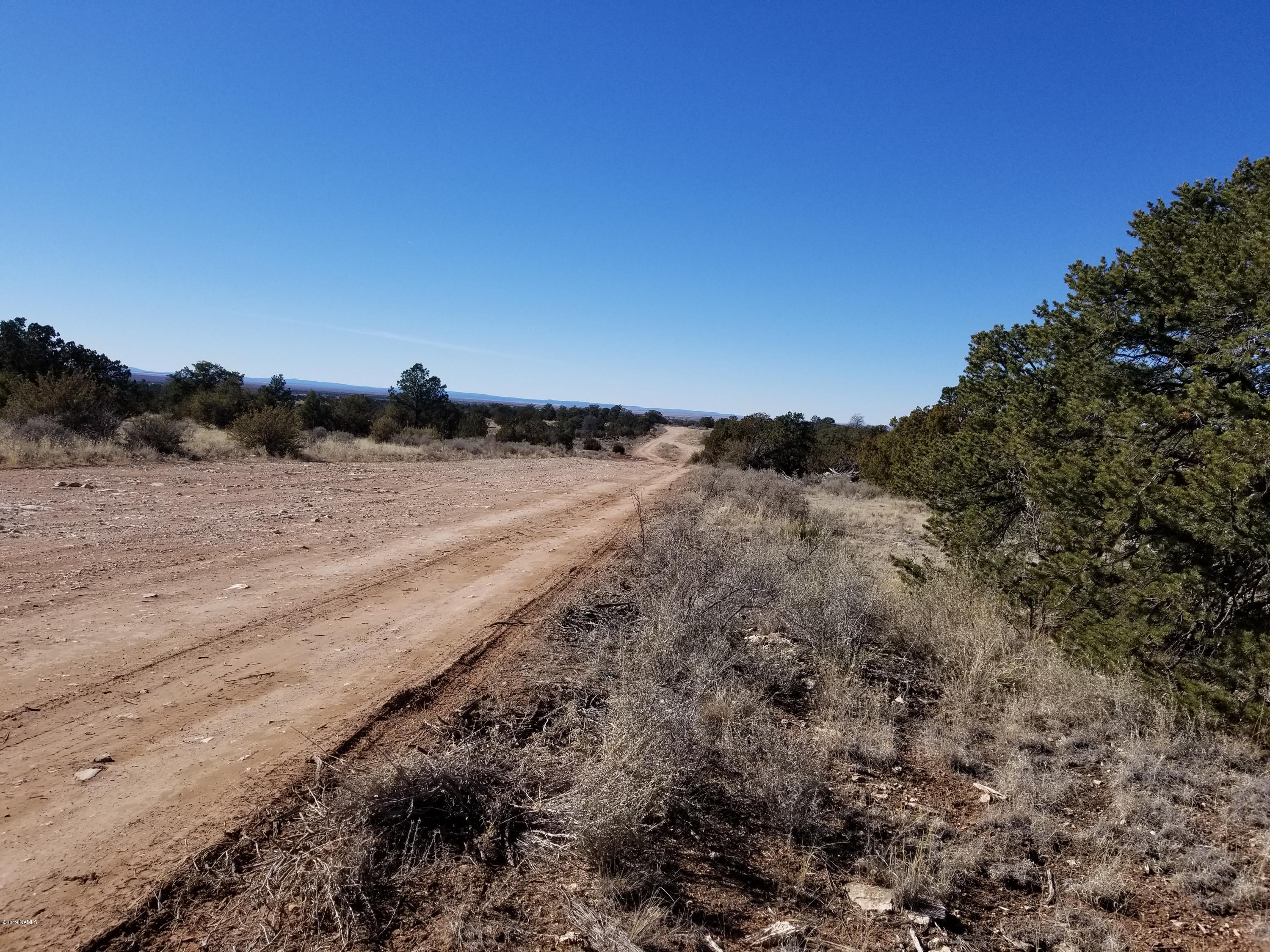 92 East Woodlands Ranch Road, Unit 92B Williams, AZ 86046 - Photo 3 of 9 Road looking west