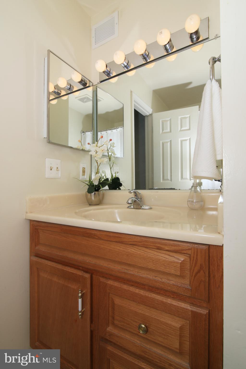 8490 Springfield Oaks Drive Springfield, VA 22153 - Photo 20 of 36 Master Bath