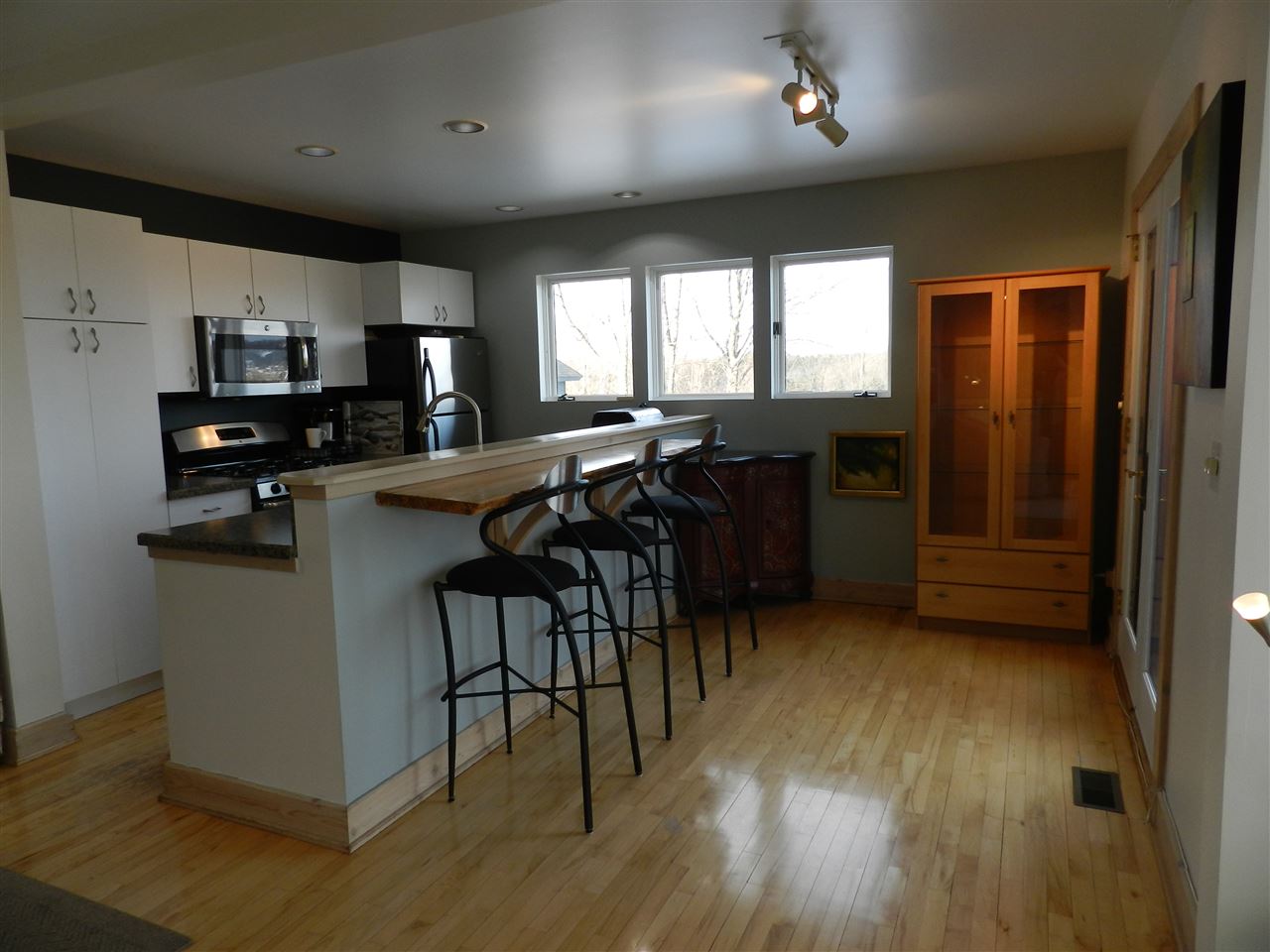 2000 East Narlock Road Cedar, MI 49621 - Photo 11 of 77 1813144-10.JPG