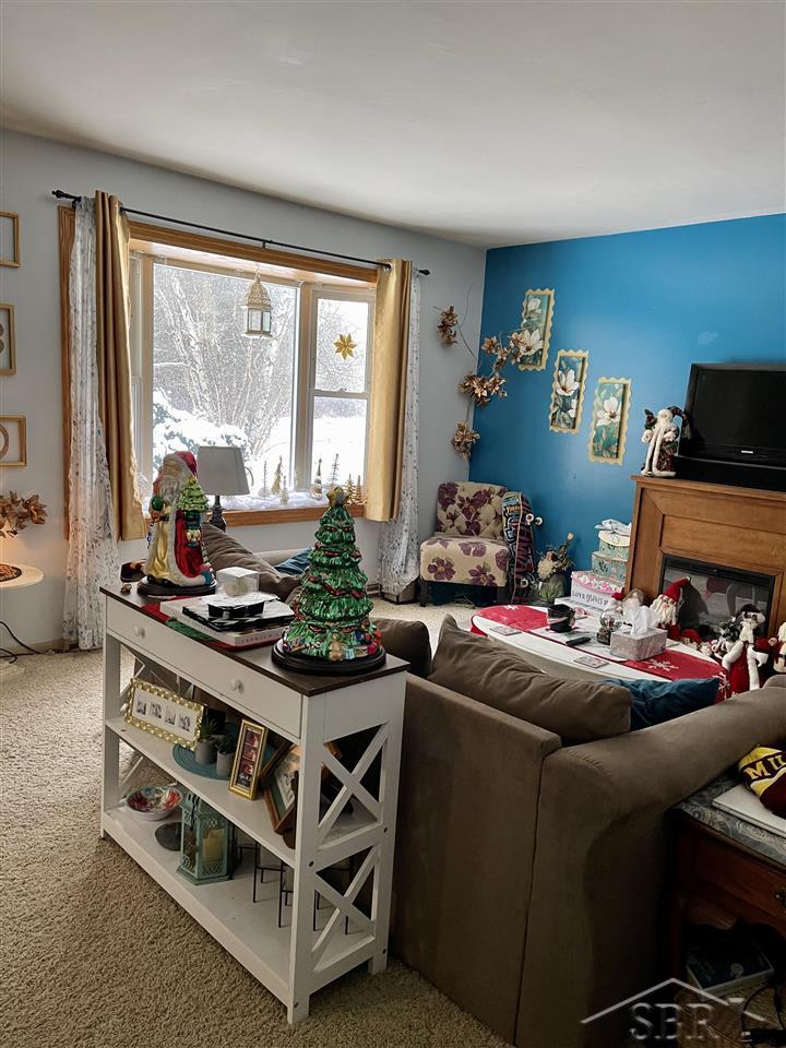 5933 Rupprecht Road Vassar, MI 48768 - Photo 8 of 12