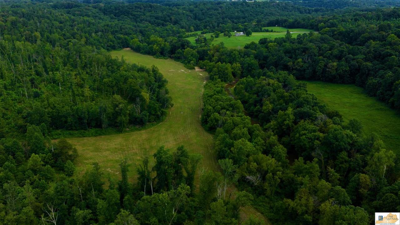 200 Scott-Marcum Road Summersville, KY 42782 - Photo 11 of 70 Gallery Image 11