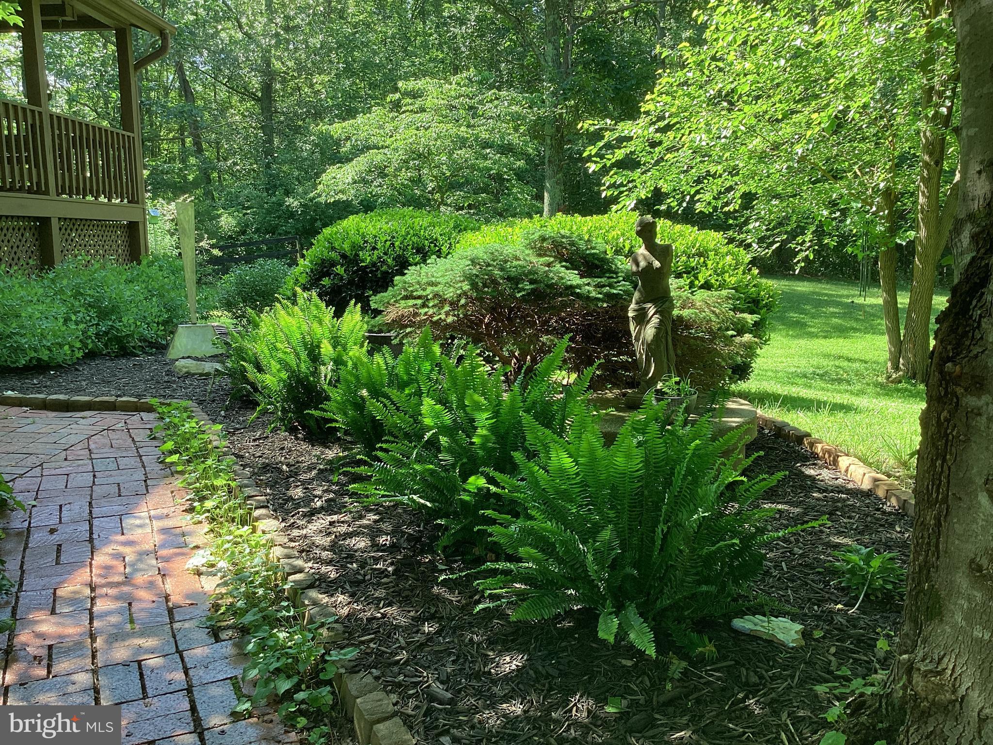 10418 Cliff Mills Road Marshall, VA 20115 - Photo 5 of 93 a view of a garden with plants and large trees