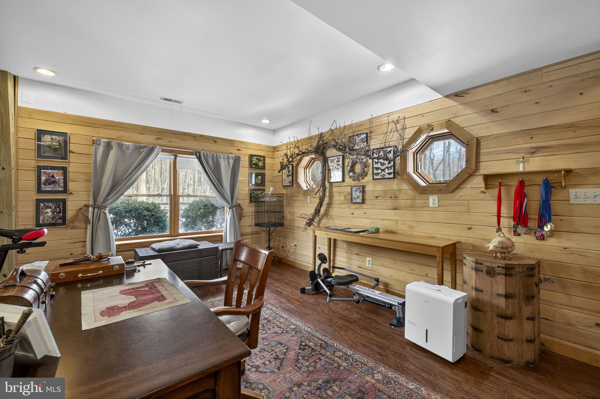 10418 Cliff Mills Road Marshall, VA 20115 - Photo 58 of 78 Full Daylight Windows