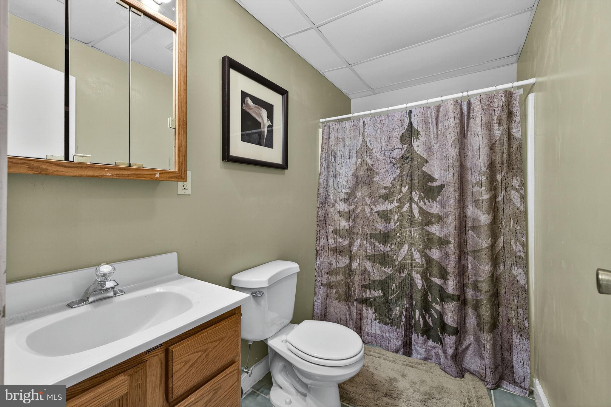 10418 Cliff Mills Road Marshall, VA 20115 - Photo 66 of 93 Lower Level Private Full Bath