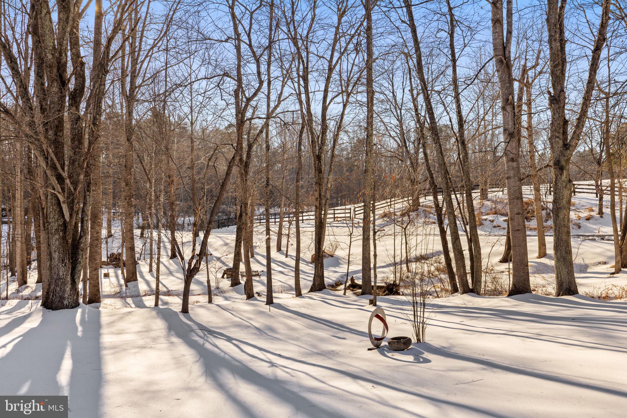 10418 Cliff Mills Road Marshall, VA 20115 - Photo 68 of 78 Nature Abounds