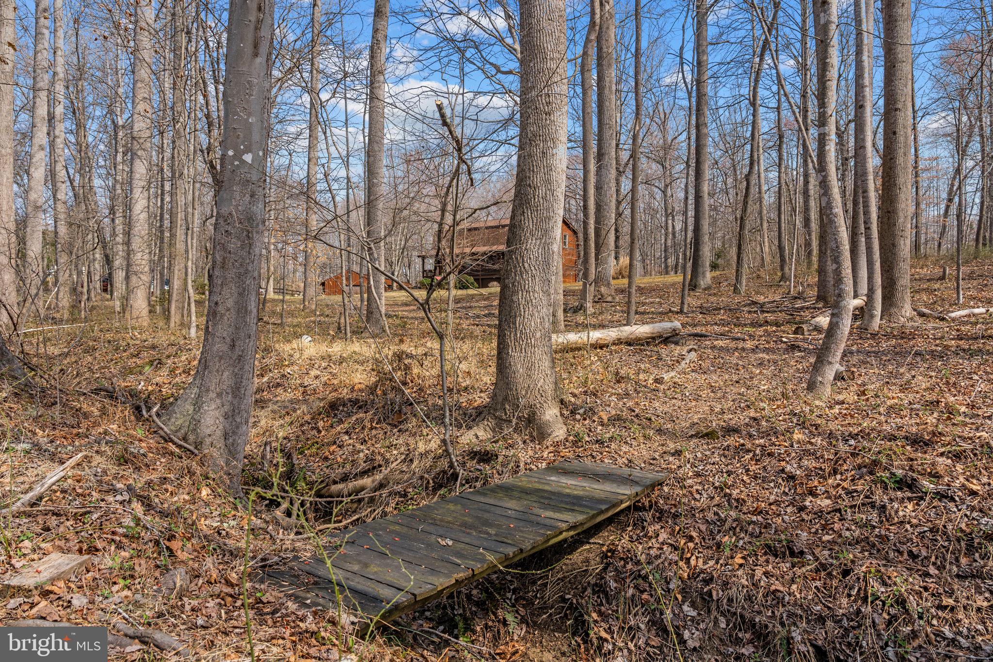 10418 Cliff Mills Road Marshall, VA 20115 - Photo 69 of 93