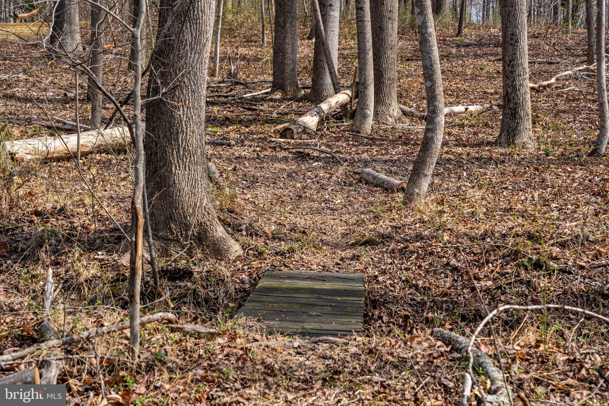 10418 Cliff Mills Road Marshall, VA 20115 - Photo 70 of 93