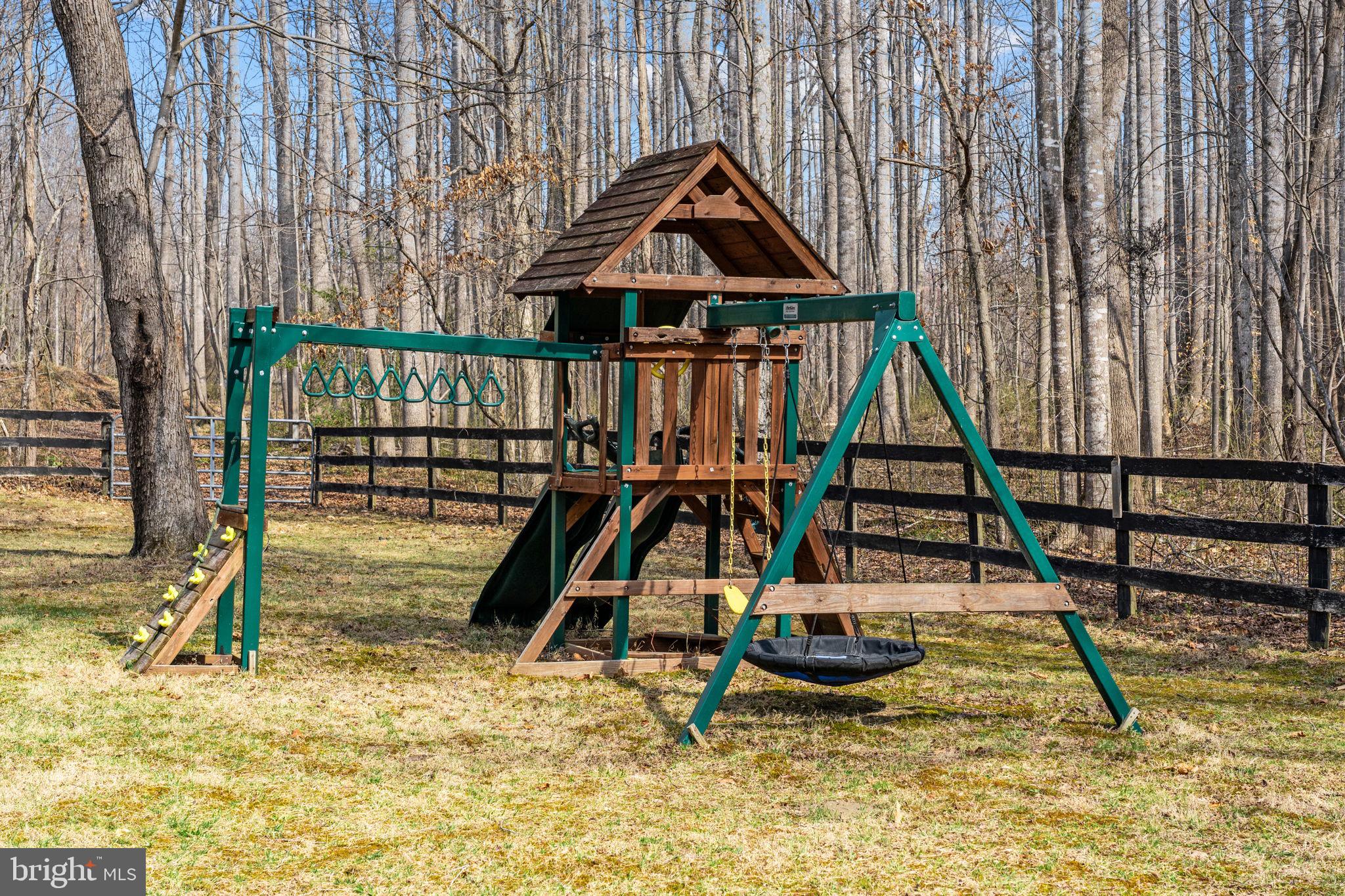 10418 Cliff Mills Road Marshall, VA 20115 - Photo 75 of 93 a view of a slide with a slide