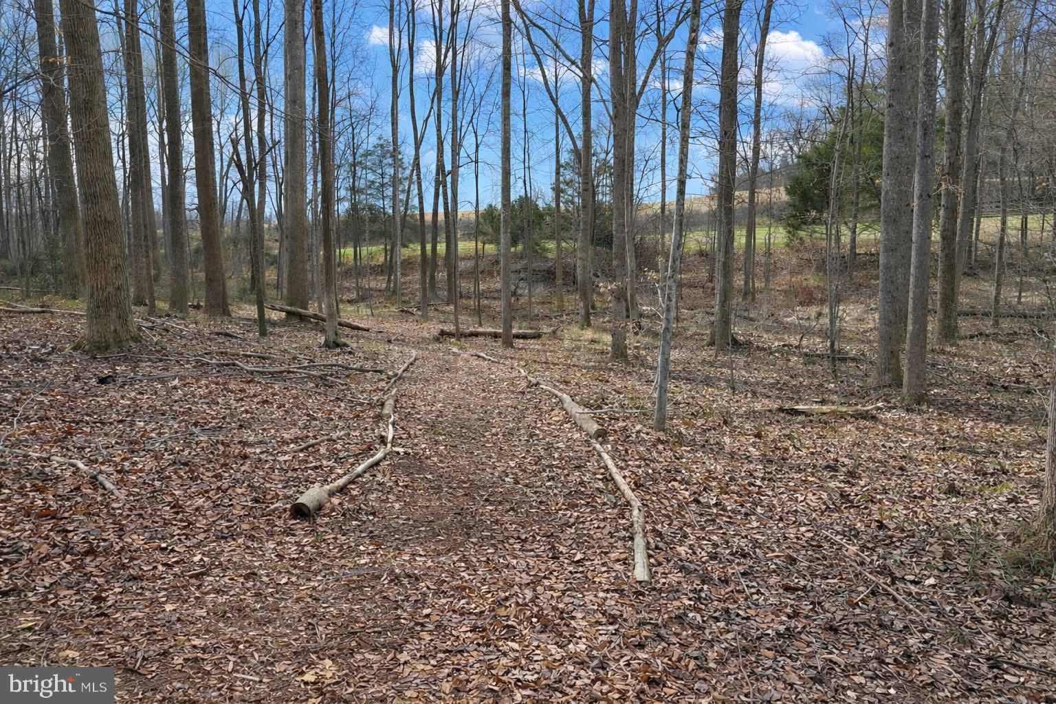 10418 Cliff Mills Road Marshall, VA 20115 - Photo 8 of 93 a backyard of a house with lots of green space