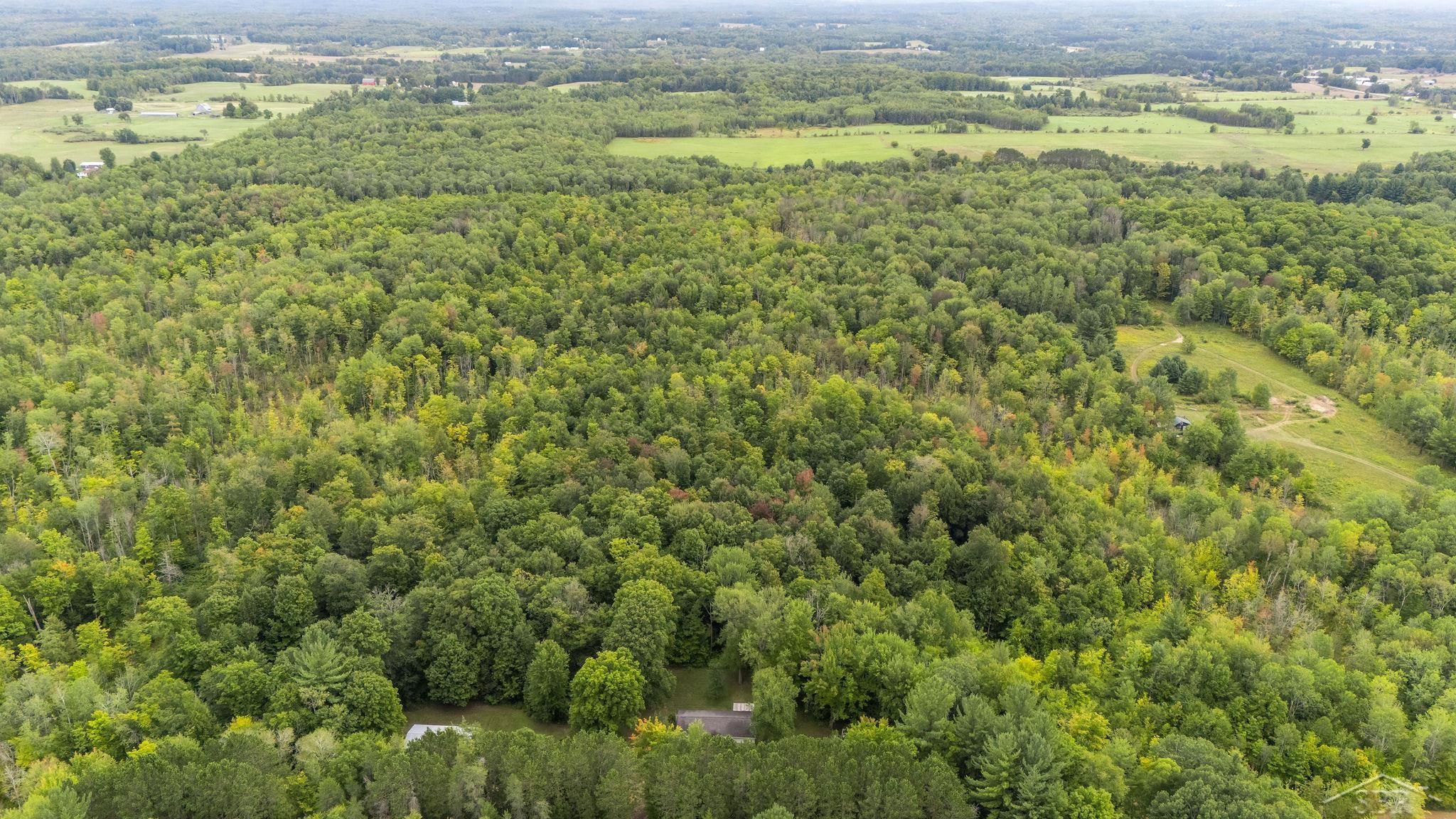 20686 Lakola Road Tustin, MI 49688 - Photo 34 of 47