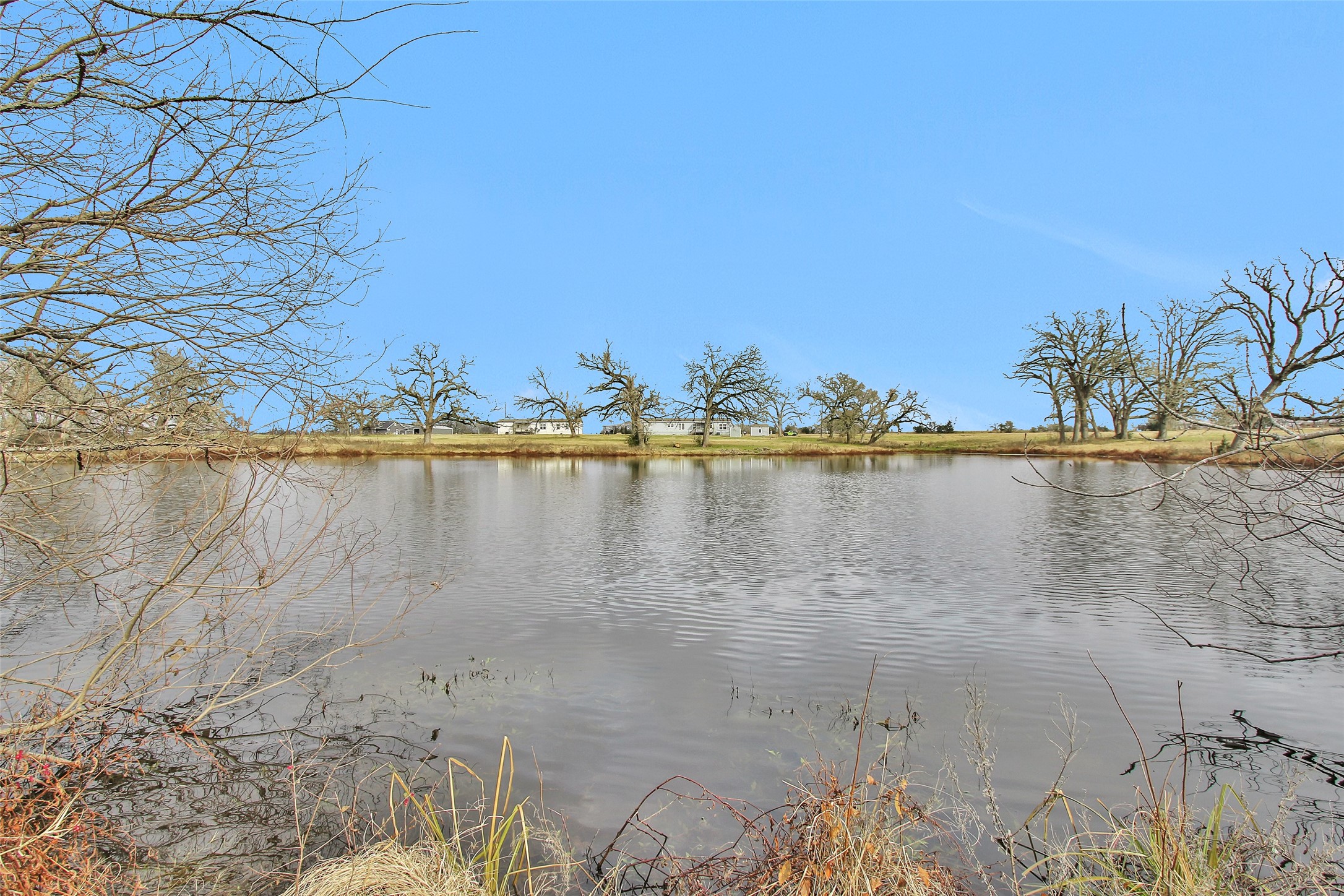 6083 Fm 3060 Midway, TX 75852 - Photo 41 of 49 Pond looking towards the homes