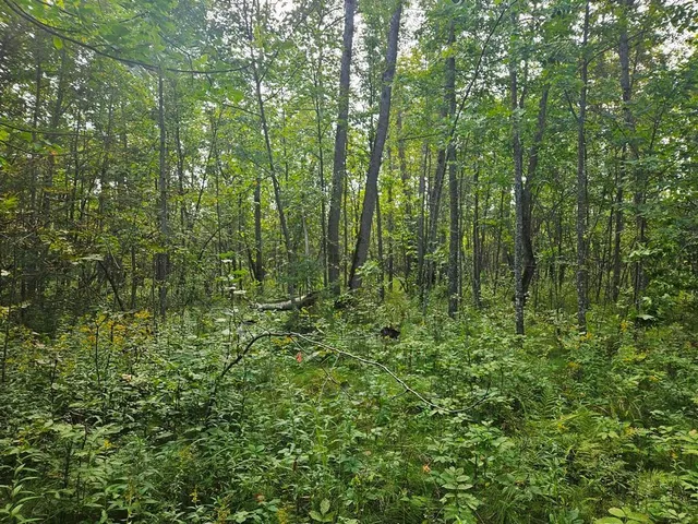 $75,000 | 1 County Road, Deer River, MN 56636