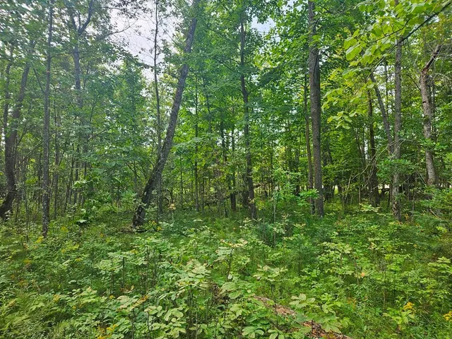 $75,000 | 1 County Road, Deer River, MN 56636