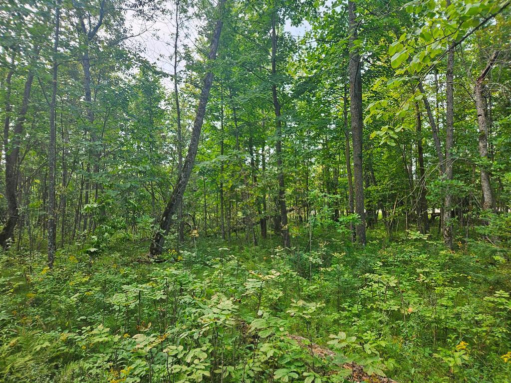 1 County Road Deer River, MN 56636 - Photo 12 of 12