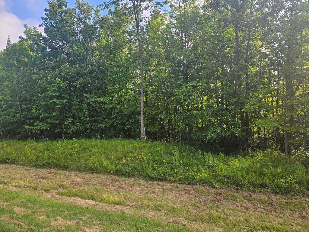 1 County Road Deer River, MN 56636 - Photo 2 of 12