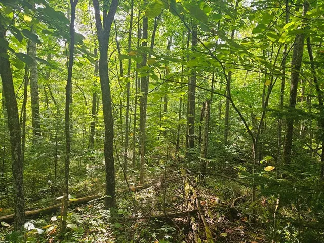 $75,000 | 1 County Road, Deer River, MN 56636