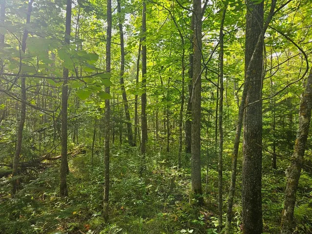 $75,000 | 1 County Road, Deer River, MN 56636