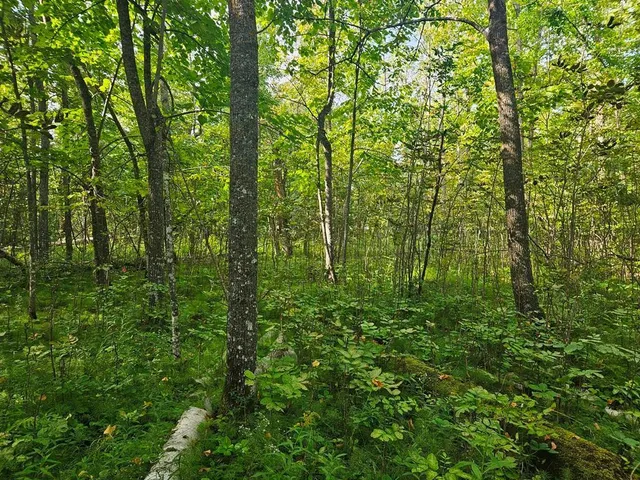 $75,000 | 1 County Road, Deer River, MN 56636