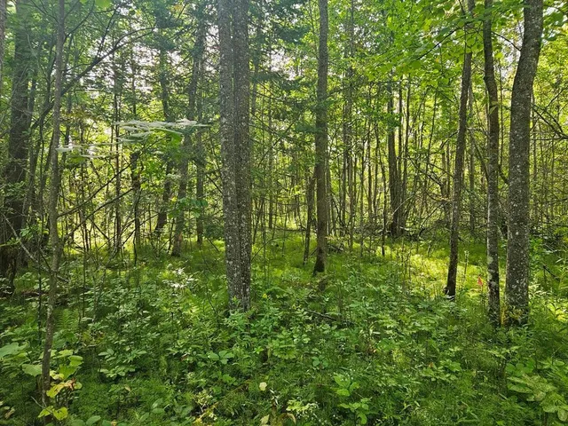 $75,000 | 1 County Road, Deer River, MN 56636