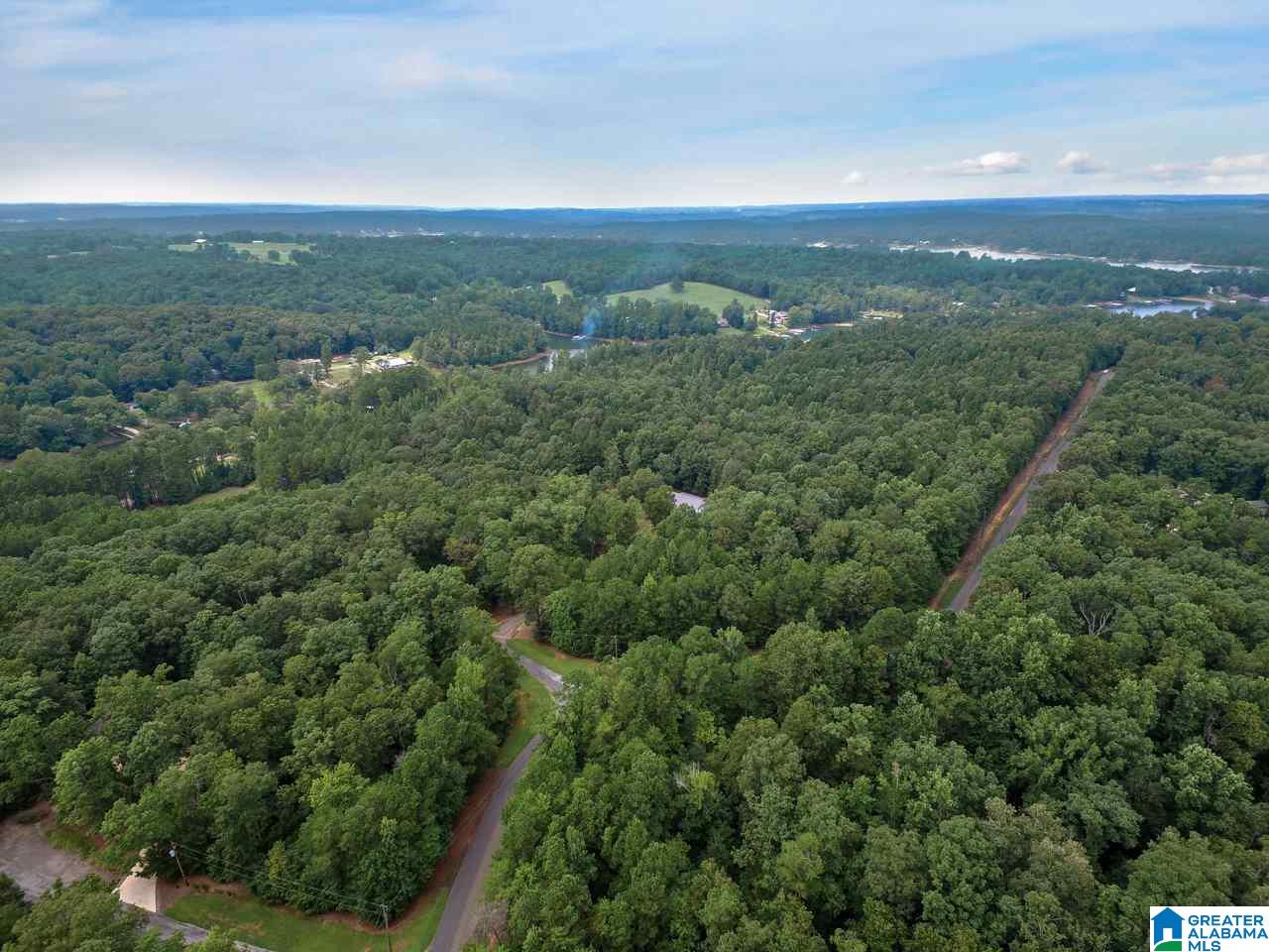 0 Harbor Light Trail, Unit 1 Jasper, AL 35504 - Photo 9 of 22