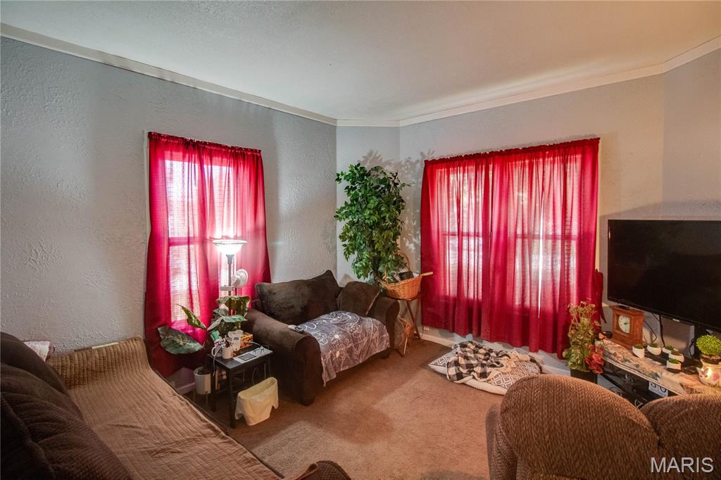 312 North Main Street Medora, IL 62063 - Photo 7 of 30