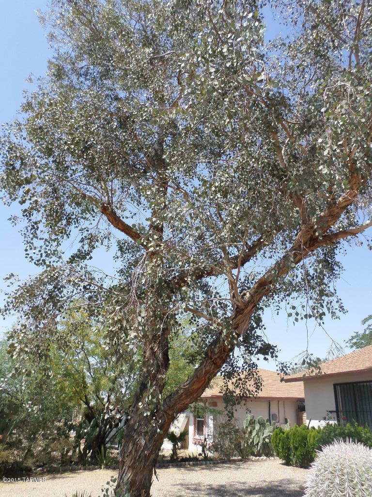 4040 West Magee Road Tucson, AZ 85741 - Photo 3 of 35
