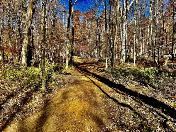 a view of a yard with large trees