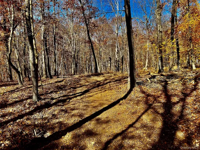 a view of a yard with wooden fence