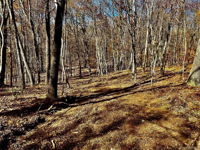 a view of a backyard of the house