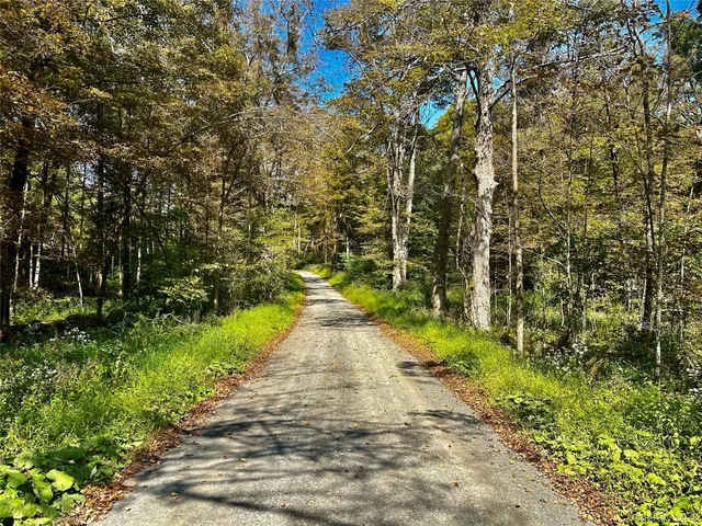 a view of a pathway with a yard