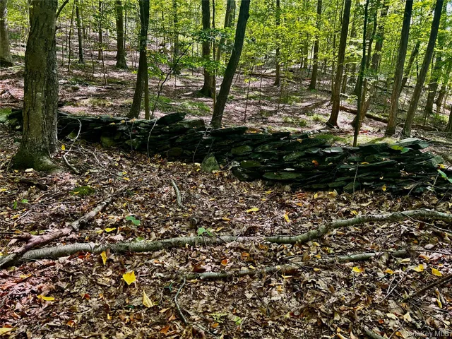 a view of a large yard