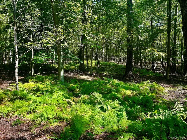 a backyard of a house with lots of green space and garden