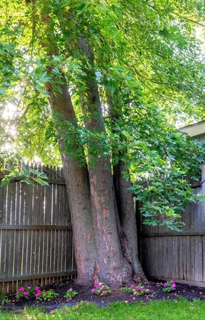 $570,000 | 23 Winthrop Avenue, Unit 1, Beverly, MA 01915