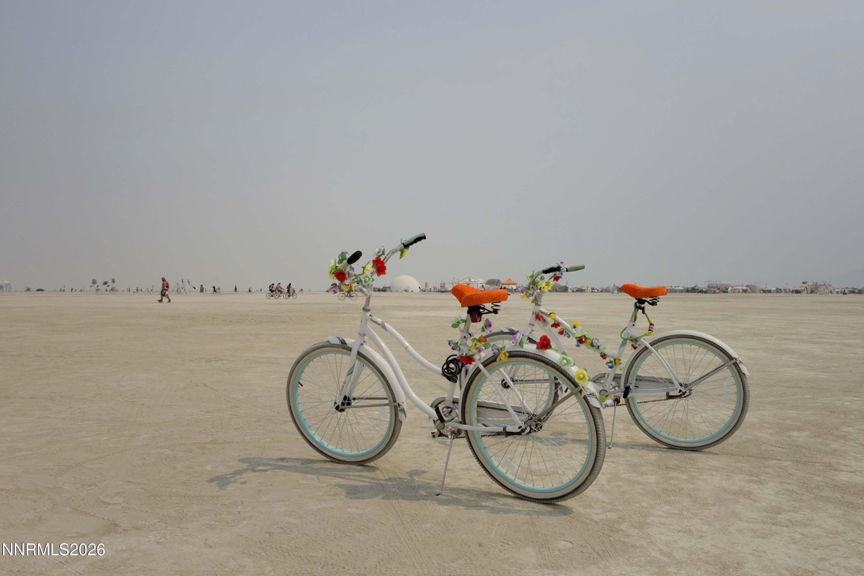 71888 Smoke Creek Road Gerlach, NV 89412 - Photo 3 of 4 03_Parcel 2 Fred's Field Gerlach, NV - 8