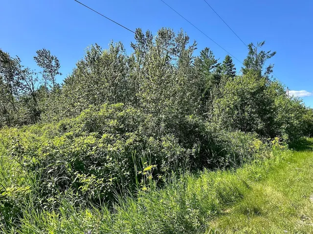 $39,999 | 14371 Stoney Pointe Road, Cheboygan, MI 49721