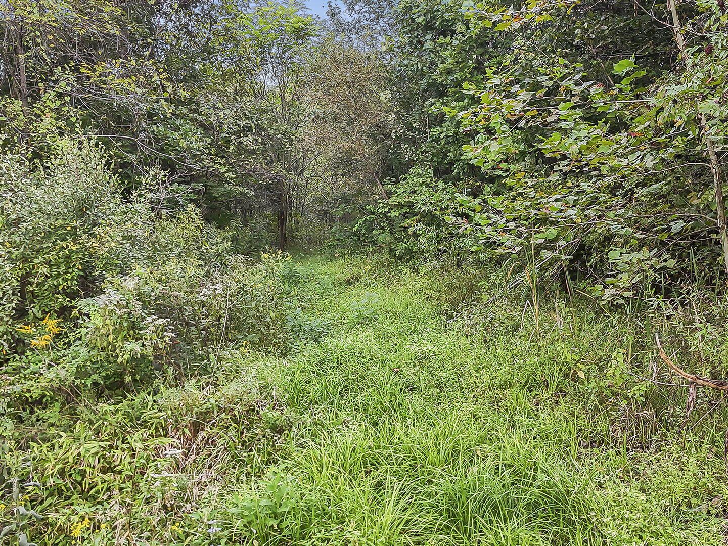 0 Cr E Road Pomeroy, OH 45769 - Photo 70 of 82 79-web-or-mls-DJI_20260918233834_0115_D
