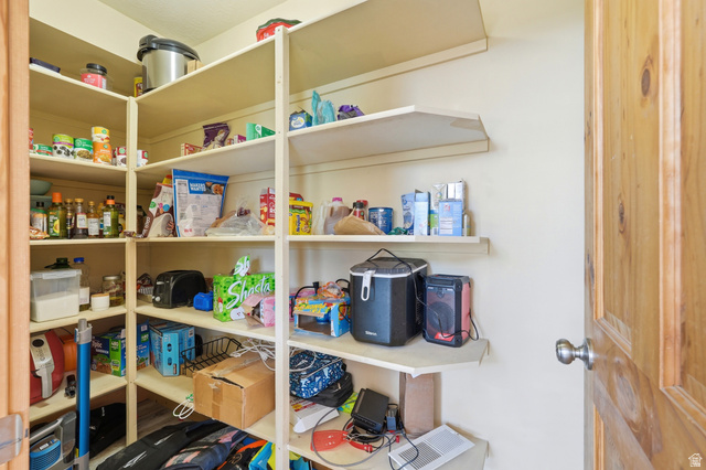 306 Spring Road Preston, ID 83263 - Photo 14 of 55 Walk-in pantry featuring light-toned walls, built-in shelving, and a natural wood-finish door