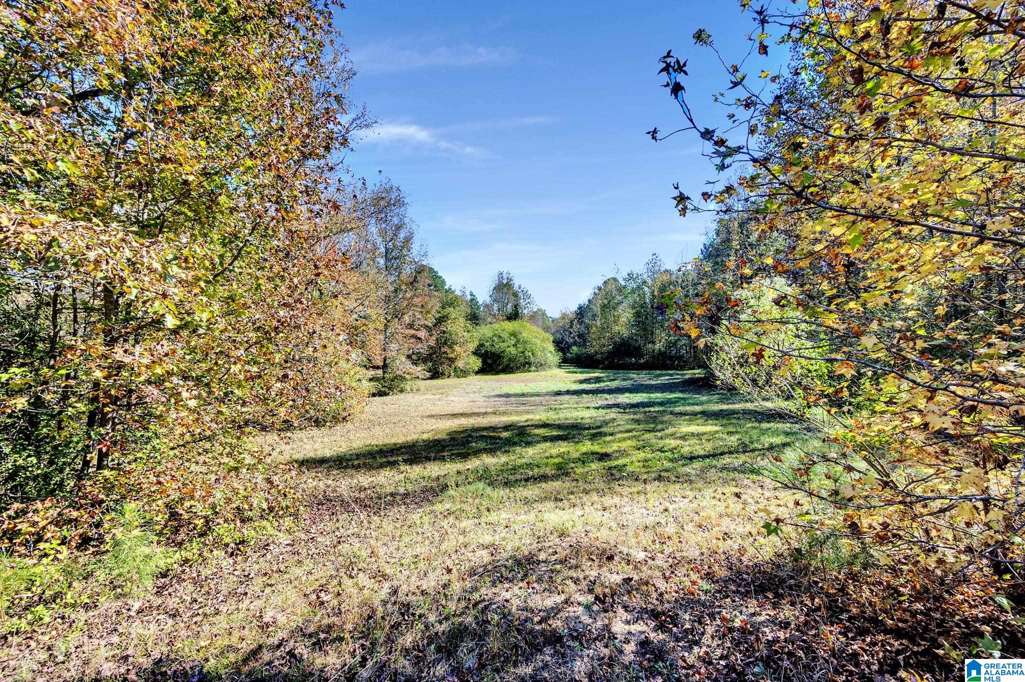 9733 Bankston Road Dora, AL 35062 - Photo 37 of 40
