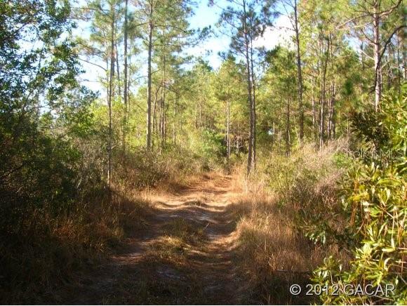 0 Southwest County Road, Unit 12 Cedar Key, FL 32625 - Photo 1 of 1