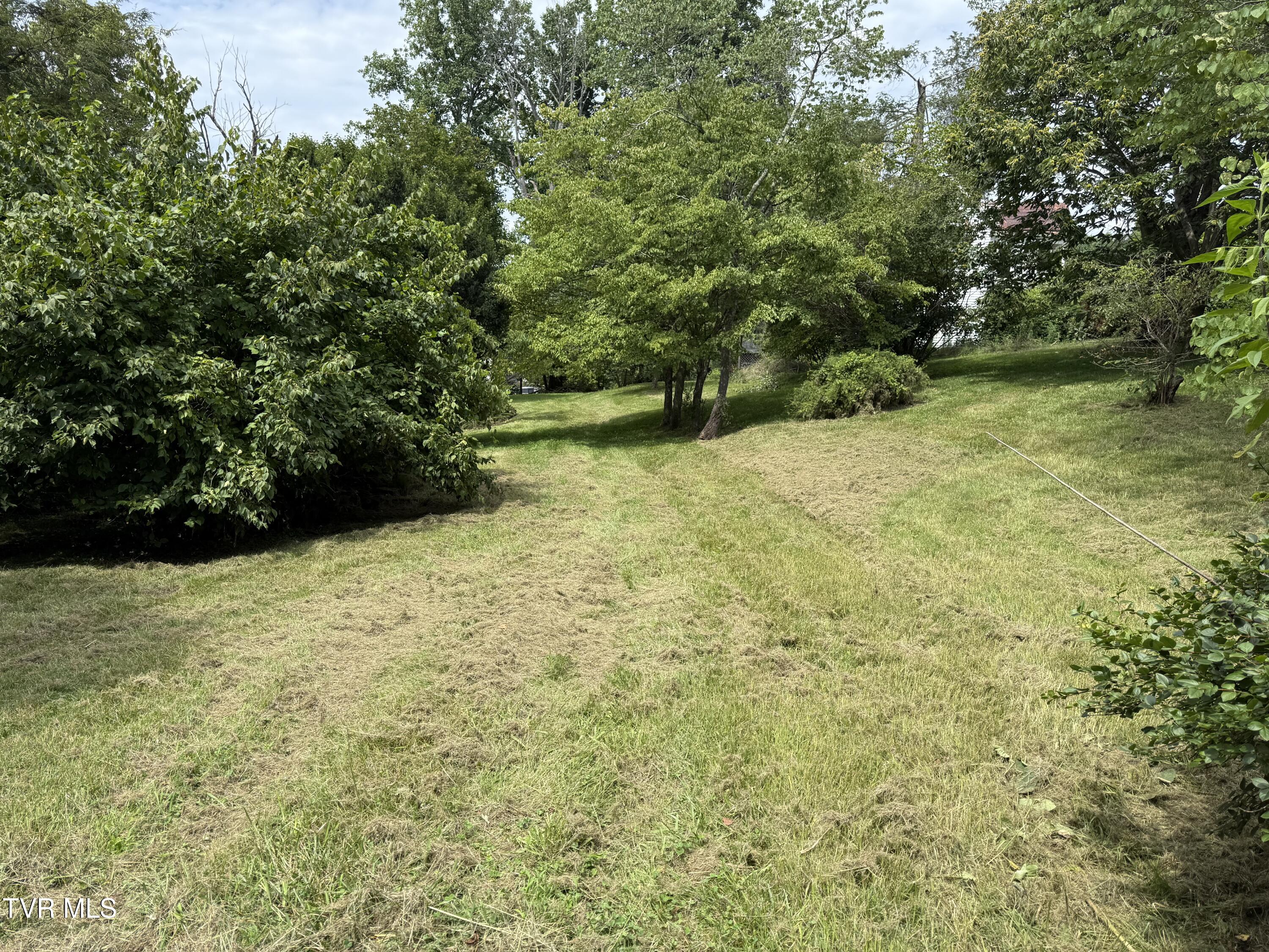 2236 Vance Tank Road Bluff City, TN 37618 - Photo 17 of 23 IMG_2437