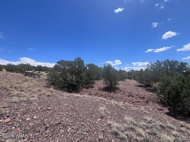 41 Indian Drive Concho, AZ 85924 - Photo 13 of 26 IMG_3678