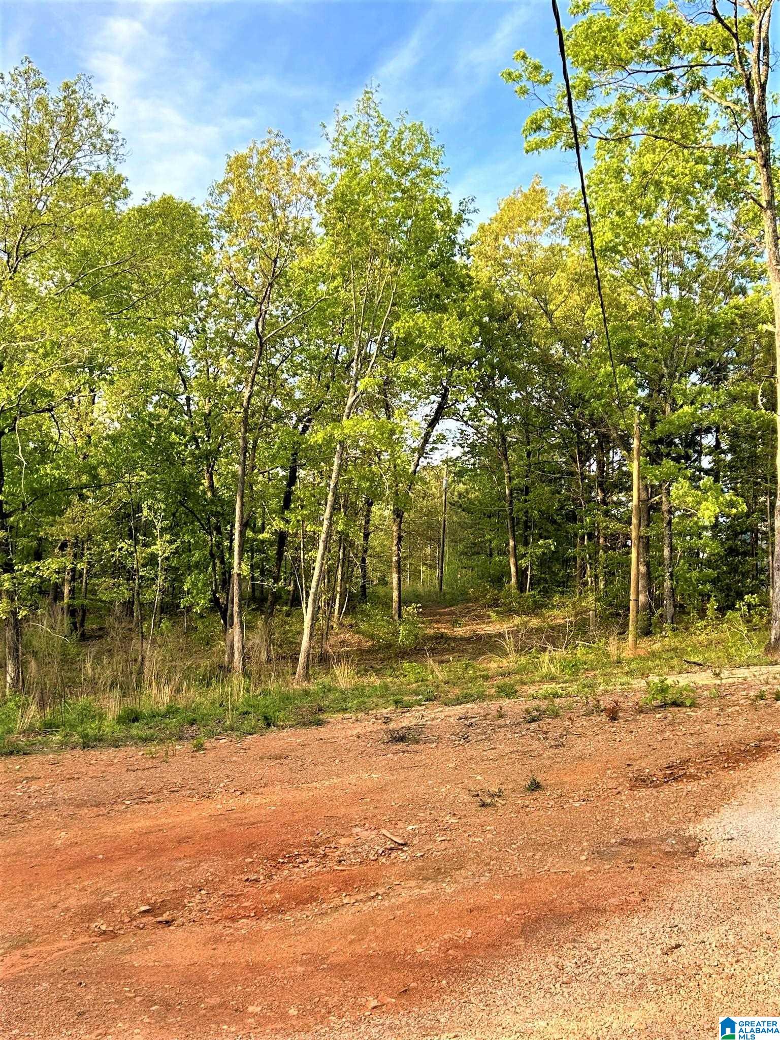 3741 County Road 47, Unit TRACT 1 Heflin, AL 36264 - Photo 6 of 10