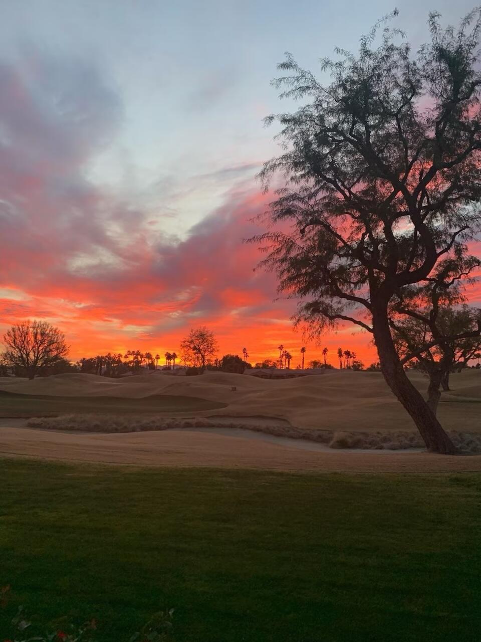 54326 Oak-Tree, Unit A122 La Quinta, CA 92253 - Photo 18 of 32 a view of an ocean and beach