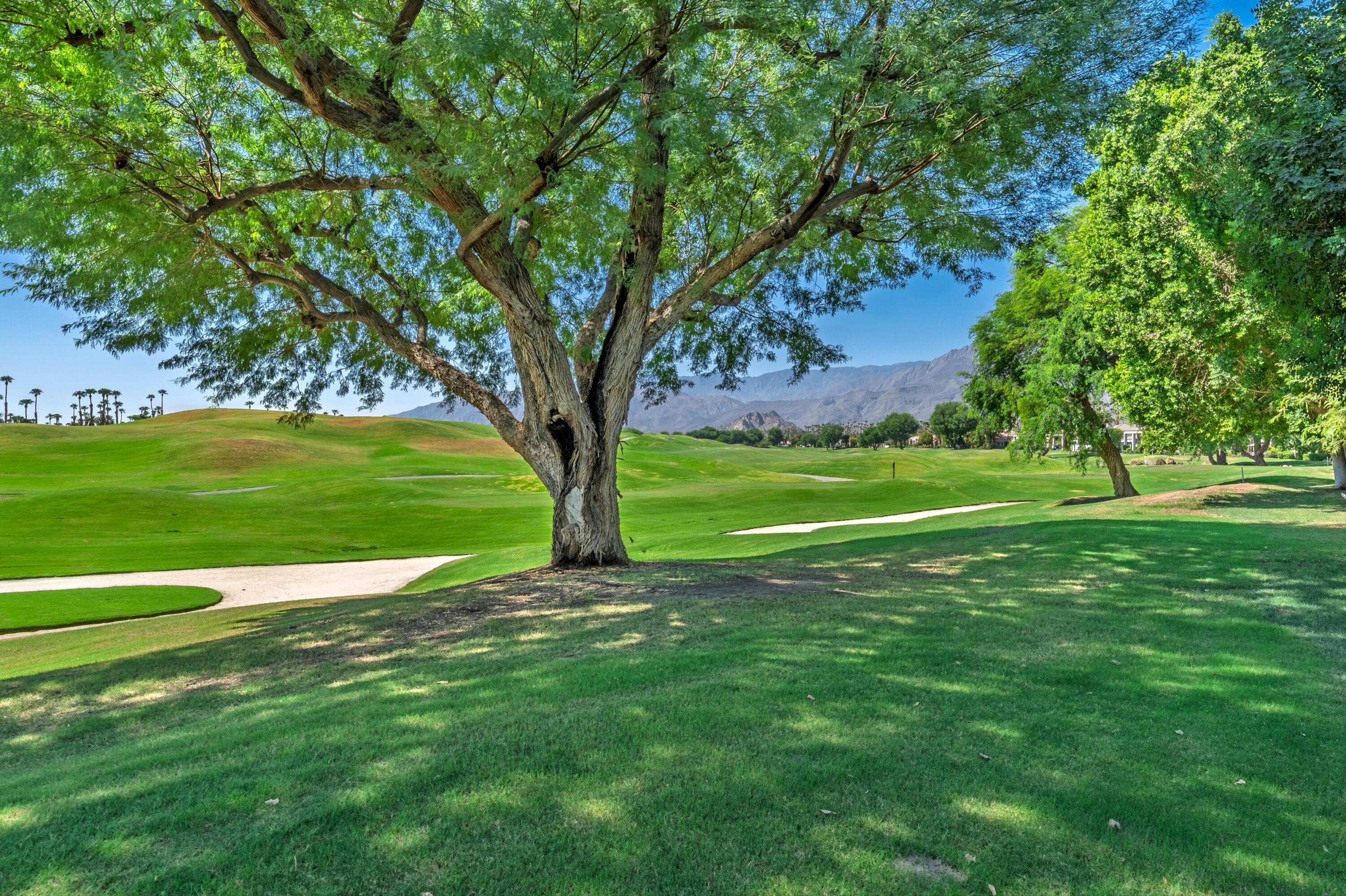 54326 Oak-Tree, Unit A122 La Quinta, CA 92253 - Photo 23 of 32 a view of a field with a tree in the background