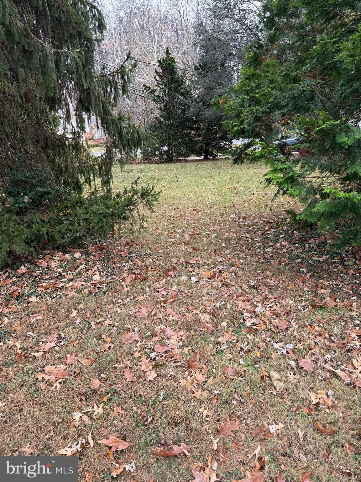 2540 Flint Hill Road Vienna, VA 22181 - Photo 2 of 7 a big yard with lots of green space and fog